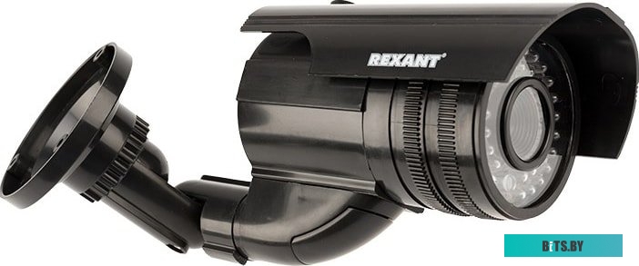 IP-камера Rexant 45-0250