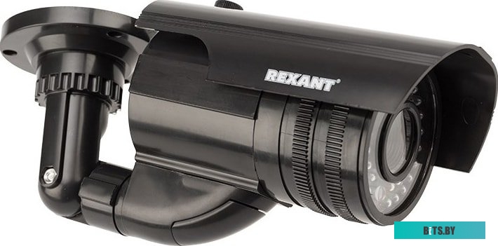 IP-камера Rexant 45-0250