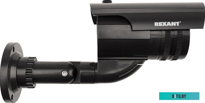 IP-камера Rexant 45-0250