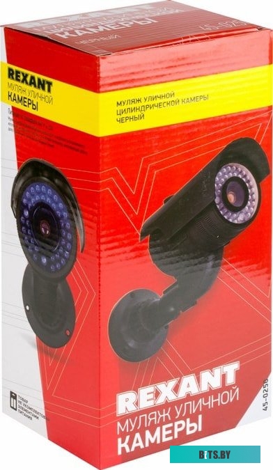 IP-камера Rexant 45-0250