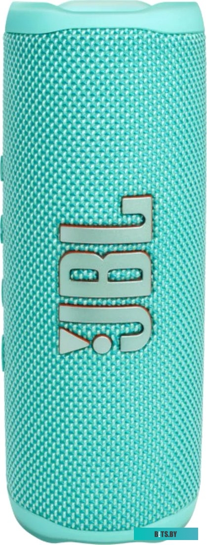 Беспроводная колонка JBL Flip 6 (бирюзовый)