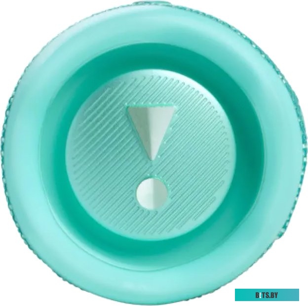 Беспроводная колонка JBL Flip 6 (бирюзовый)