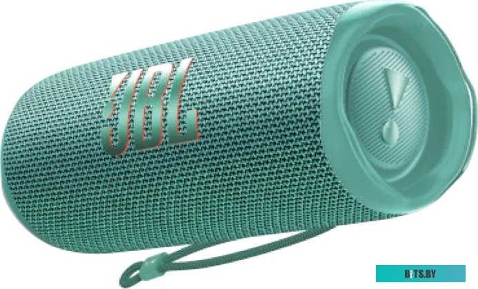 Беспроводная колонка JBL Flip 6 (бирюзовый)