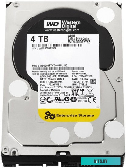 Жесткий диск Western Digital WD4000FYYZ WD4000FYYZ