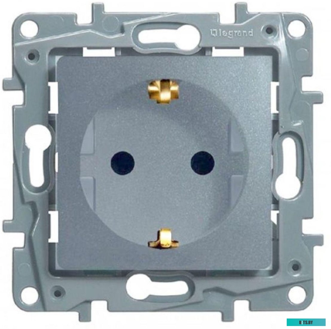 Розетка Legrand Etika 672422 (алюминий)