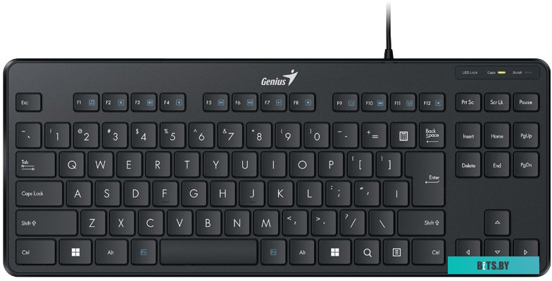 Клавиатура Genius LuxeMate 110 <31300012404>