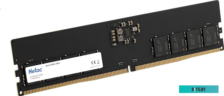 Оперативная память Netac Basic DDR5 NTBSD5P56SP-16