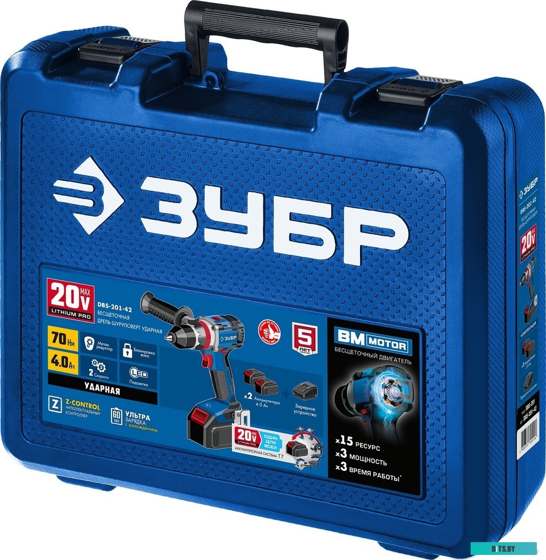Зубр Профессионал DBS-201-42 (с 2-мя АКБ 4 Ач, кейс)