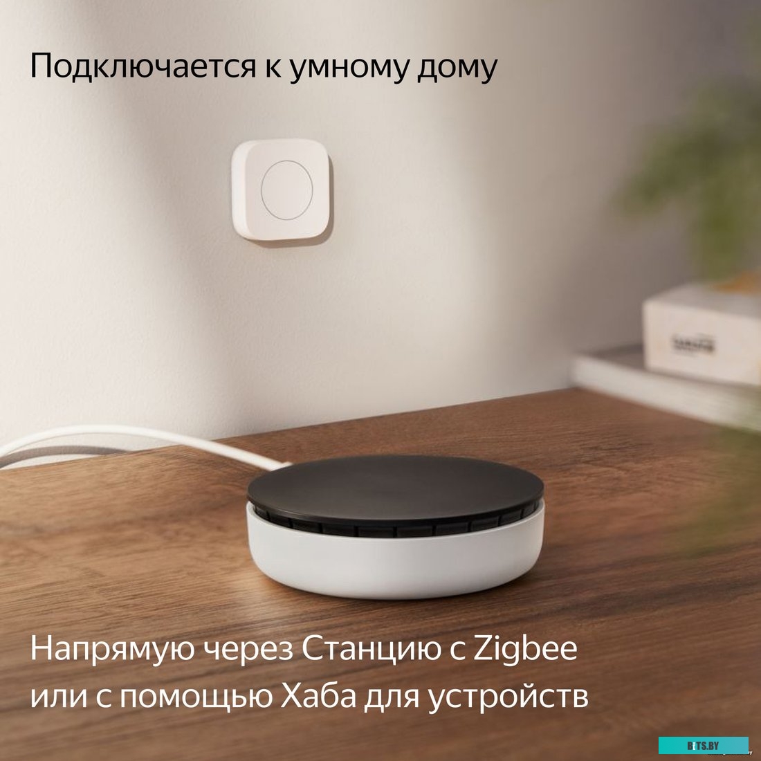 Яндекс YNDX-00524