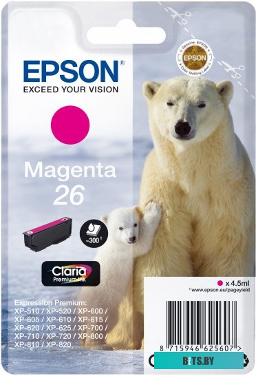 Картридж Epson C13T26134012