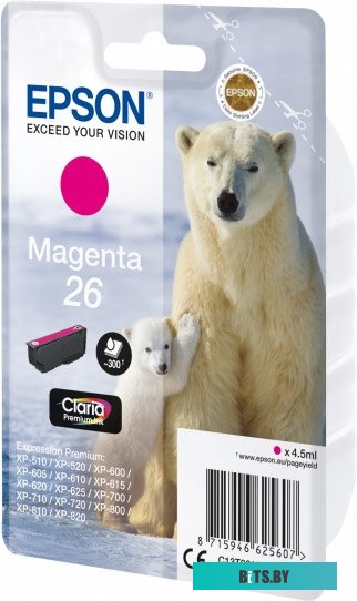 Картридж Epson C13T26134012