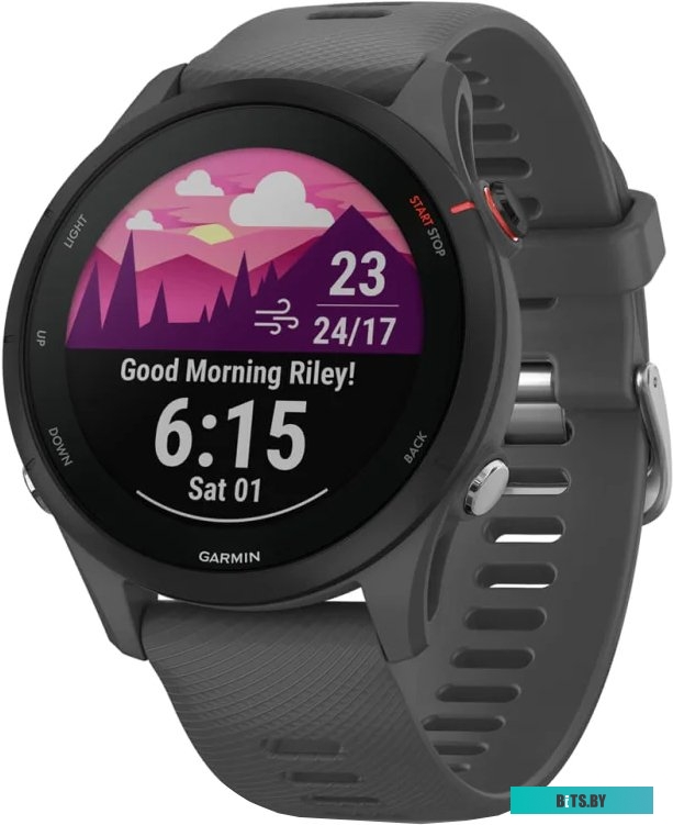 Умные часы Garmin Forerunner 255 46 мм (сланцево-серый/черный)