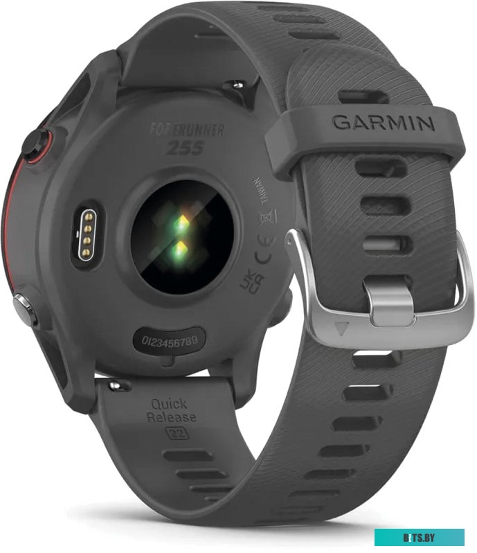 Умные часы Garmin Forerunner 255 46 мм (сланцево-серый/черный)
