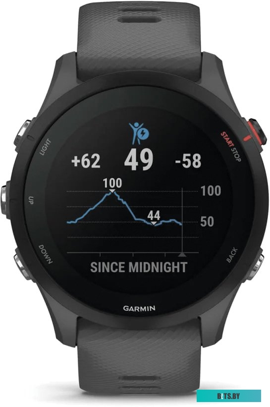 Умные часы Garmin Forerunner 255 46 мм (сланцево-серый/черный)