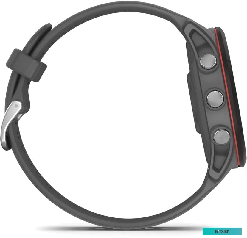 Умные часы Garmin Forerunner 255 46 мм (сланцево-серый/черный)