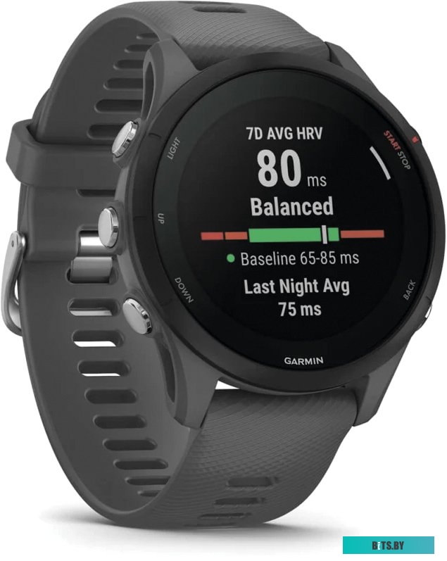 Умные часы Garmin Forerunner 255 46 мм (сланцево-серый/черный)