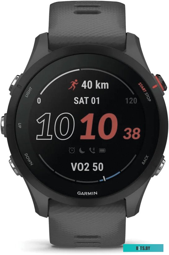 Умные часы Garmin Forerunner 255 46 мм (сланцево-серый/черный)