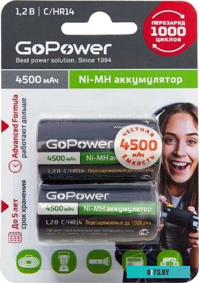 Аккумулятор GoPower HR14 C BL2 00-00018322
