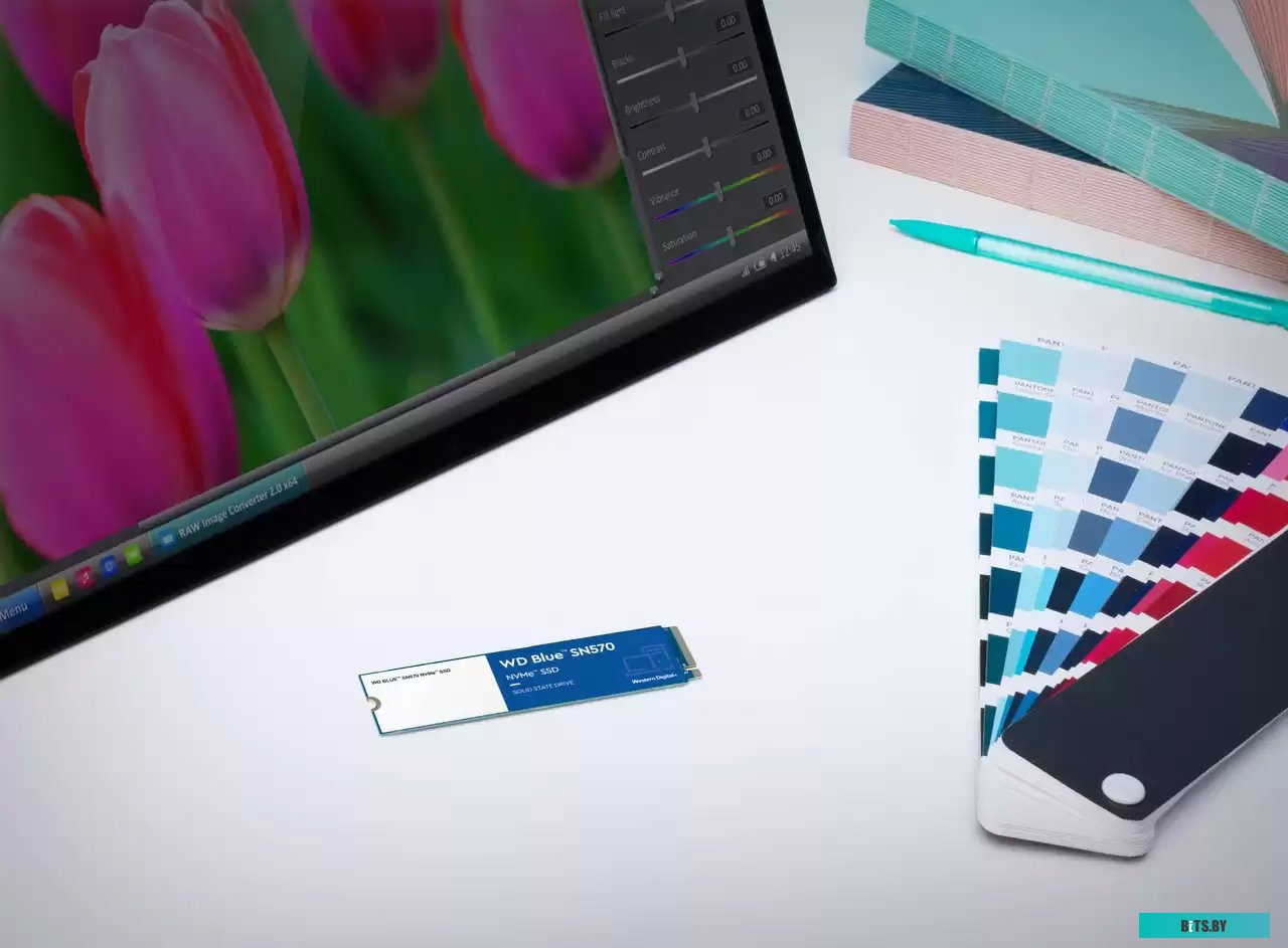 SSD Накопитель WD Blue SN570 1TB WDS100T3B0C