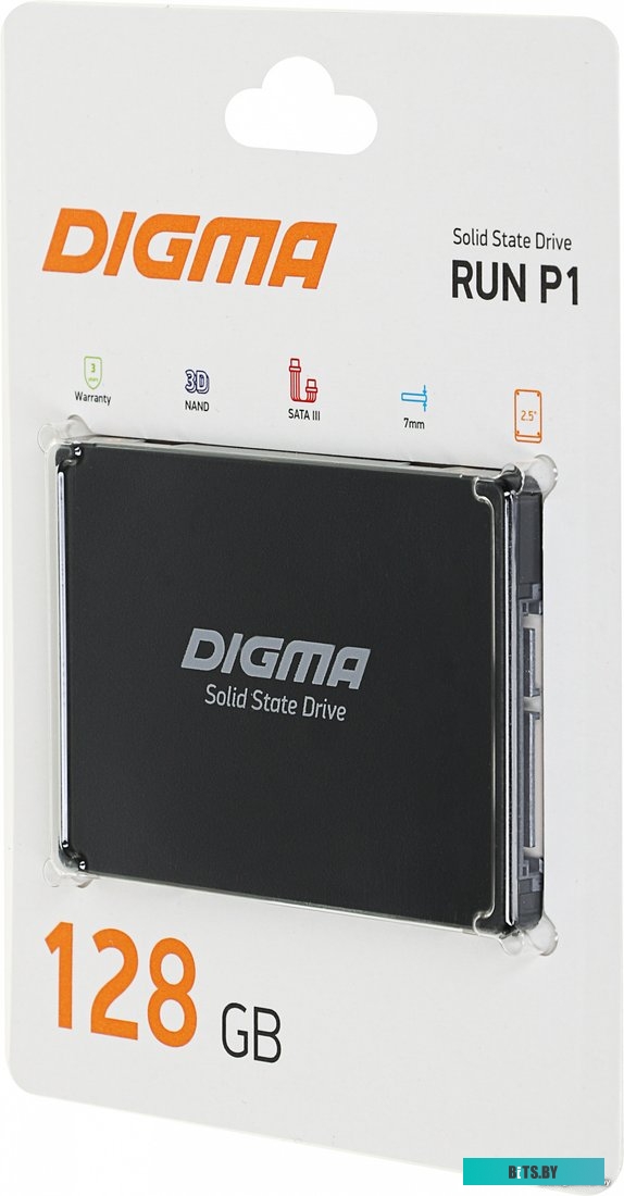 SSD Digma RUN P1 DGSR2001TP13T