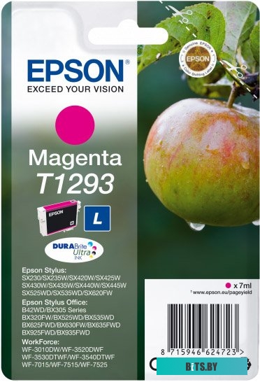 Картридж Epson C13T12934012