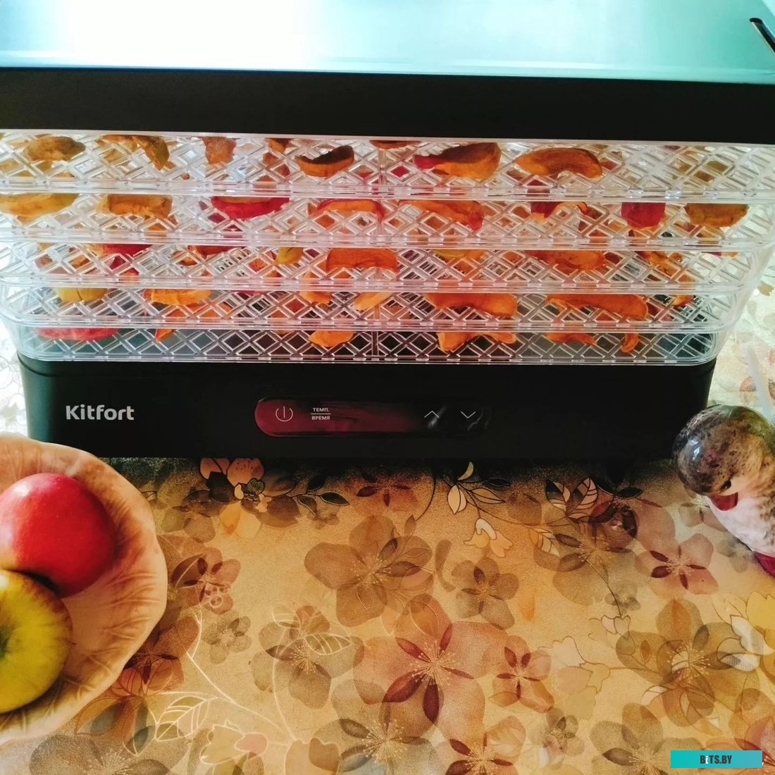 KT-1948 Сушилка для овощей "Kitfort" [KT-1948]