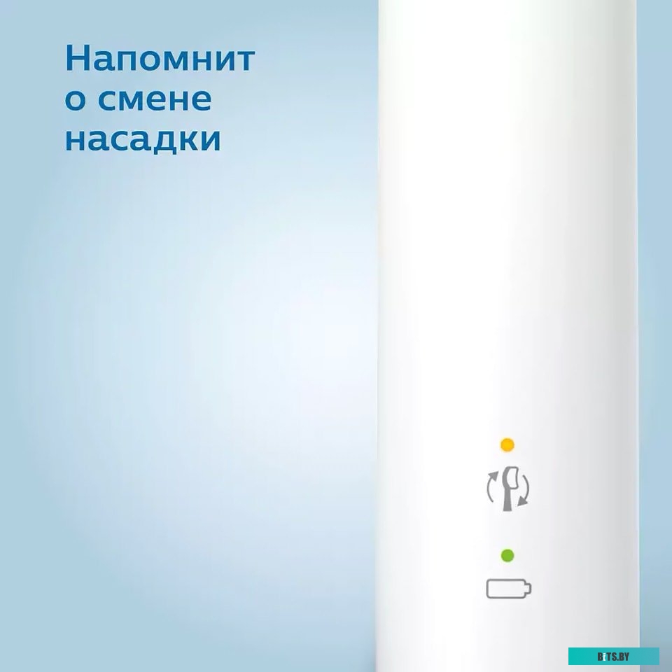 Электрическая зубная щетка Philips 3100 series HX3673/13