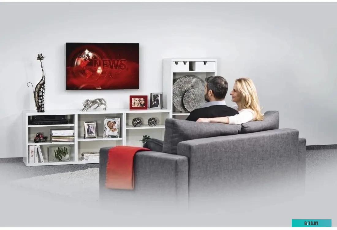 00220813 Кронштейн для телевизора Hama 00220813 черный 32"-75" макс.40кг настенный фиксированный