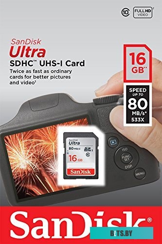 Карта памяти SanDisk SDHC (Class 10) 16GB [SDSDUNC-016G-GN6IN]