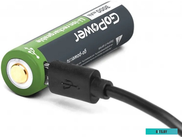 00-00019862 Батарейка GoPower LR03 AAA BL2 Alkaline 1.5V (2/24/480) блистер (2 шт.)