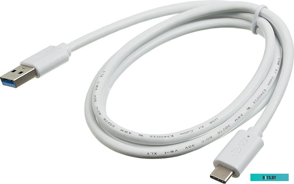 Кабель Buro BHP USB-TPC-1W <1164525>