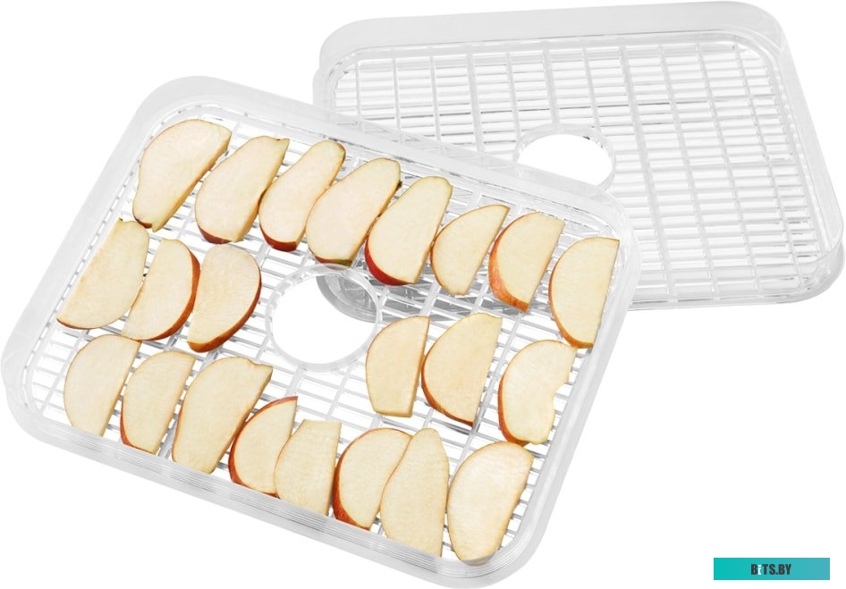 SC-FD421T19 Сушка для фруктов и овощей Scarlett SC-FD421T19