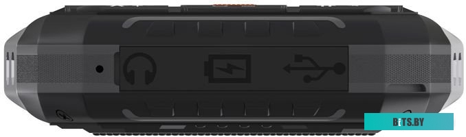Мобильный телефон Maxvi T101 (черный)
