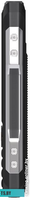 Мобильный телефон Maxvi T101 (черный)