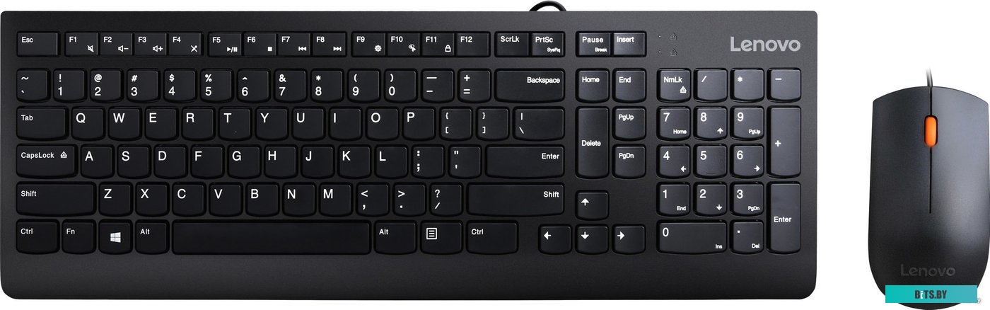 Комплект (мышь + клавиатура) Lenovo 300 USB Combo <GX30M39635>