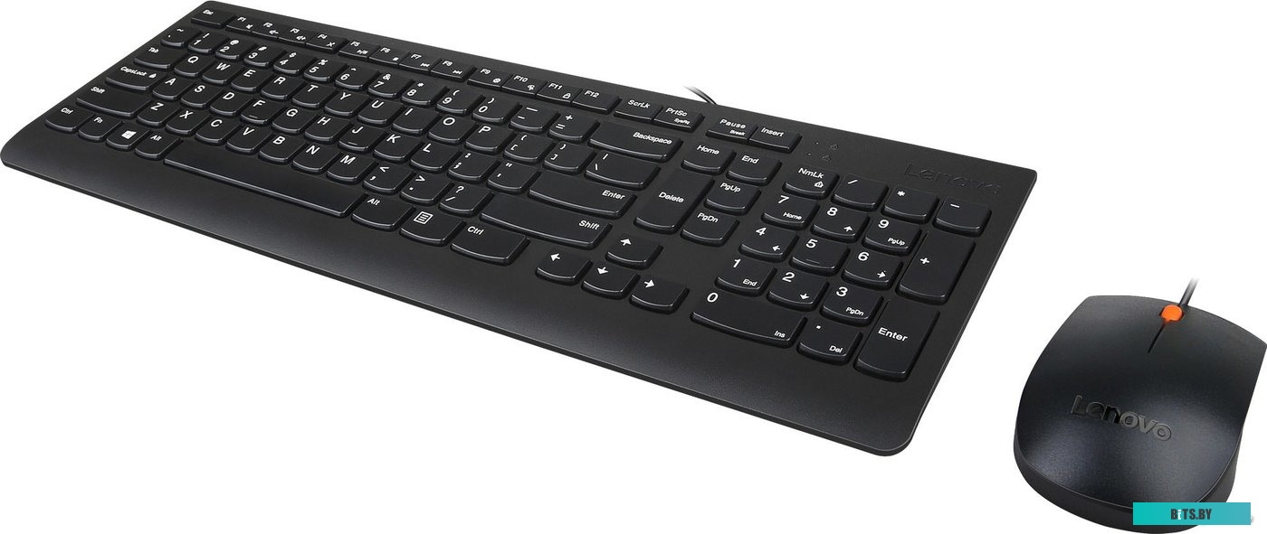 Комплект (мышь + клавиатура) Lenovo 300 USB Combo <GX30M39635>