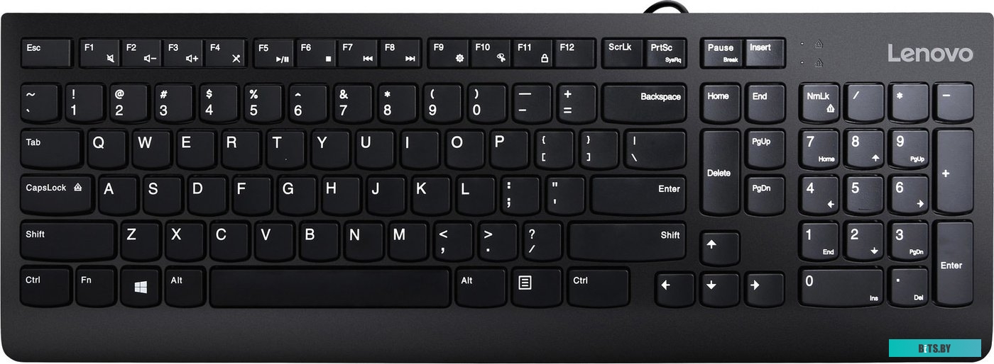 Комплект (мышь + клавиатура) Lenovo 300 USB Combo <GX30M39635>