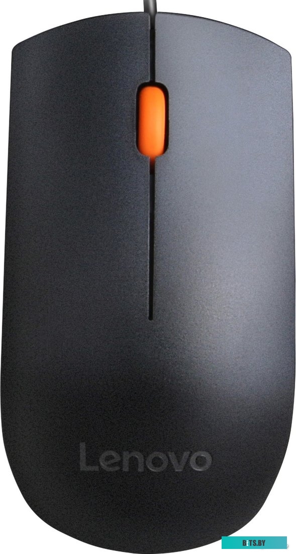Комплект (мышь + клавиатура) Lenovo 300 USB Combo <GX30M39635>