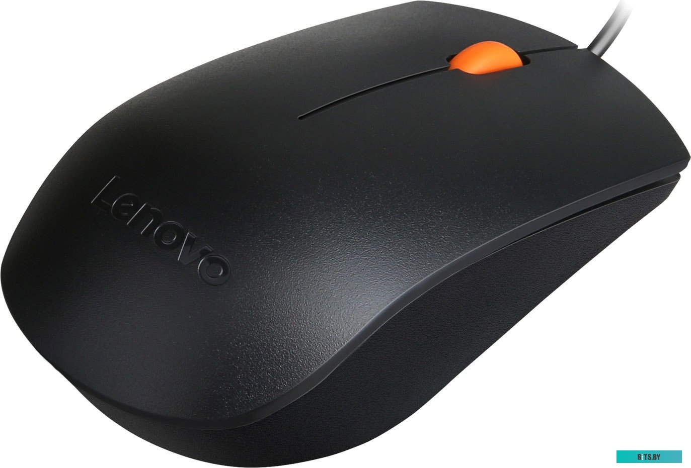 Комплект (мышь + клавиатура) Lenovo 300 USB Combo <GX30M39635>