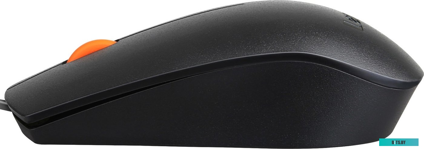 Комплект (мышь + клавиатура) Lenovo 300 USB Combo <GX30M39635>