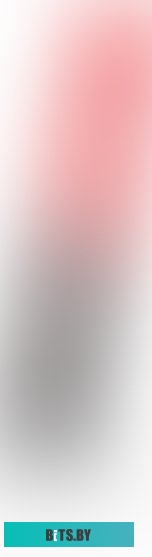 HC-24P4 Мобильный холодильник HC-24P4 BIRYUSA