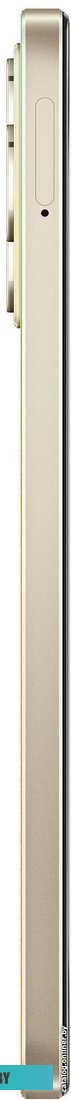 Realme C53 RMX3760 8GB/256GB международная версия (чемпионское золото)