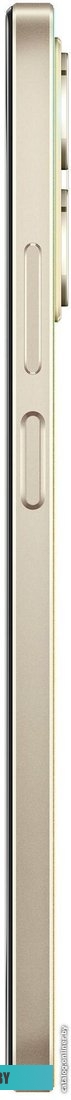 Realme C53 RMX3760 8GB/256GB международная версия (чемпионское золото)