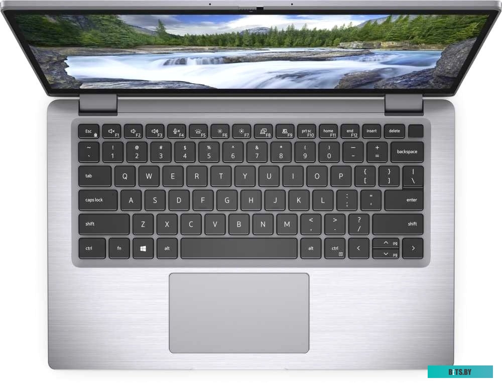 73105095P Кухонные весы Zelmer ZKS1500N WHITE