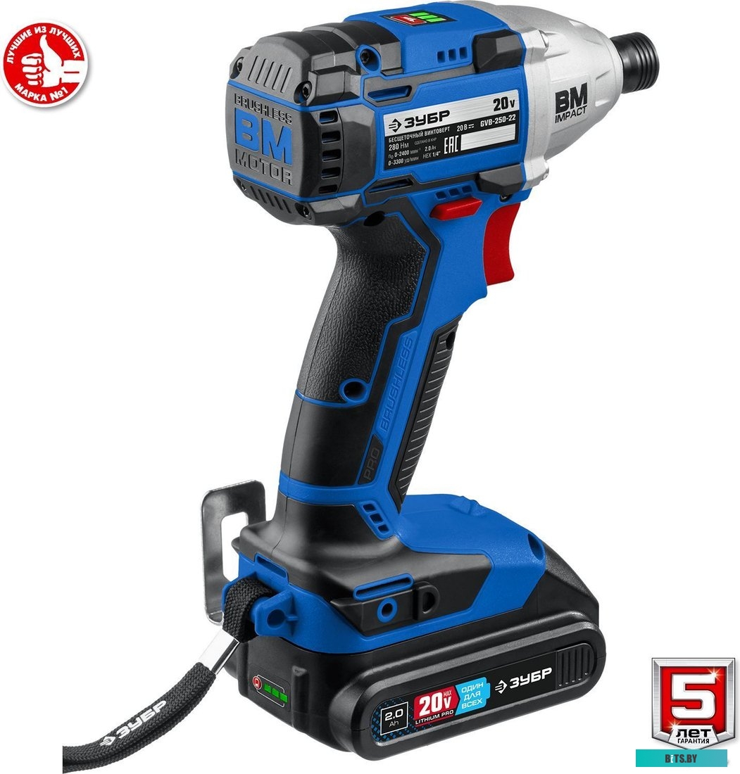 Зубр Профессионал GVB-250-22 (с 2-мя АКБ, кейс)