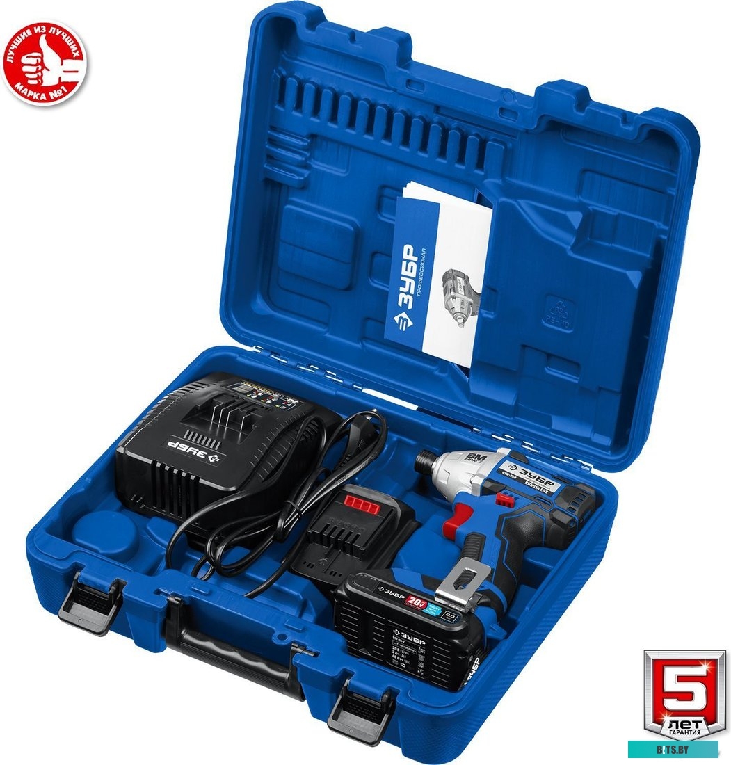 Зубр Профессионал GVB-250-22 (с 2-мя АКБ, кейс)