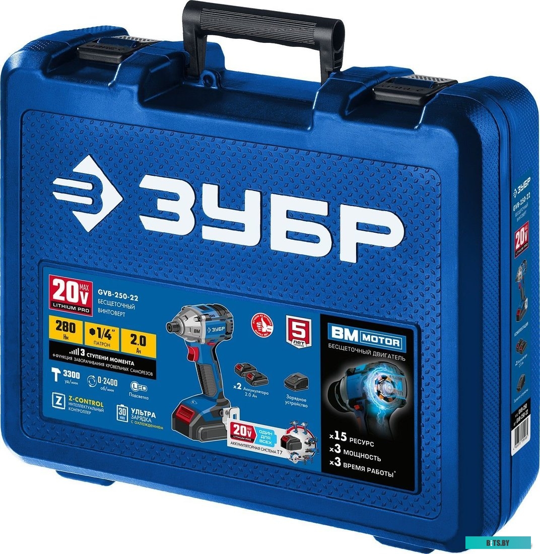 Зубр Профессионал GVB-250-22 (с 2-мя АКБ, кейс)