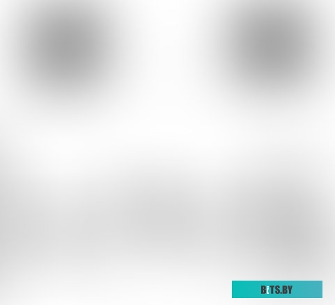 SI1003 Black/Burgundy Утюг "BQ" [SI1003] <Black/Burgundy>