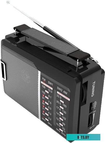 Радиоприемник Ritmix RPR-190