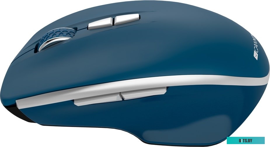 Мышь Canyon MW-21 (сапфир) <CNS-CMSW21BL>